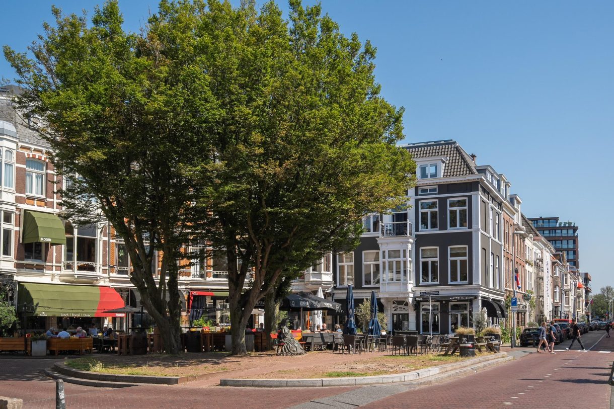 Te koop: Foto Appartement aan de Anna Paulownastraat 81B in 's-Gravenhage