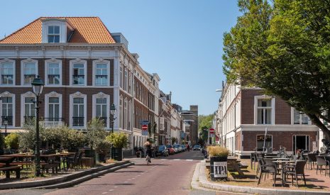 Te koop: Foto Appartement aan de Anna Paulownastraat 81B in 's-Gravenhage