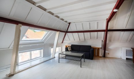 Te koop: Foto Appartement aan de Anna Paulownastraat 81B in 's-Gravenhage