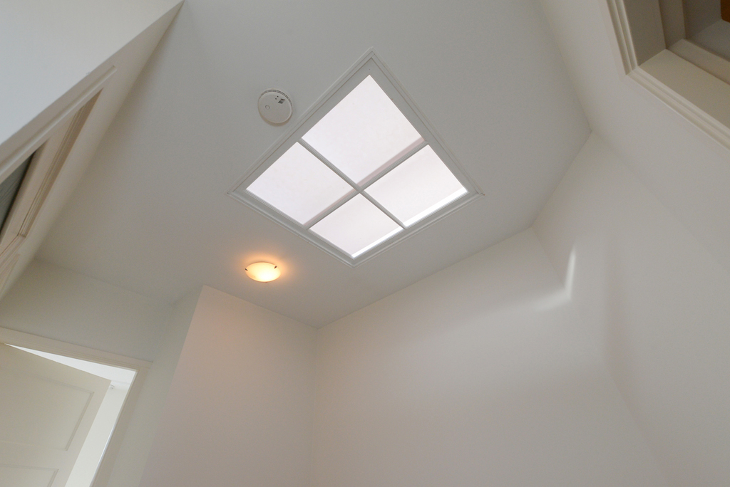 Te huur: Foto Appartement aan de Van Hoytemastraat 95 in 's-Gravenhage