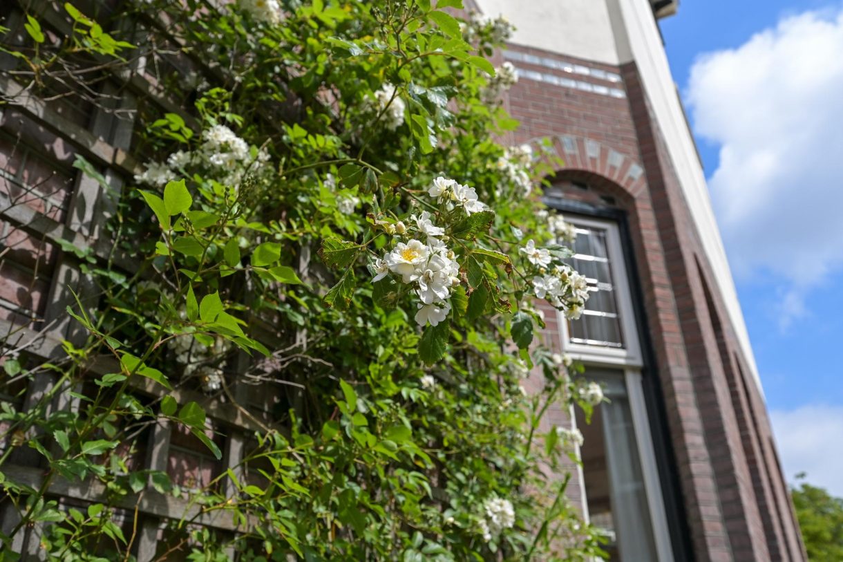 Te koop: Foto Woonhuis aan de Prins Mauritslaan 65 in 's-Gravenhage