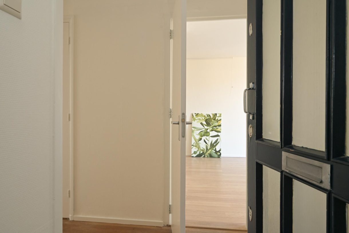 Te koop: Foto Appartement aan de Goudenregenstraat 311 in 's-Gravenhage