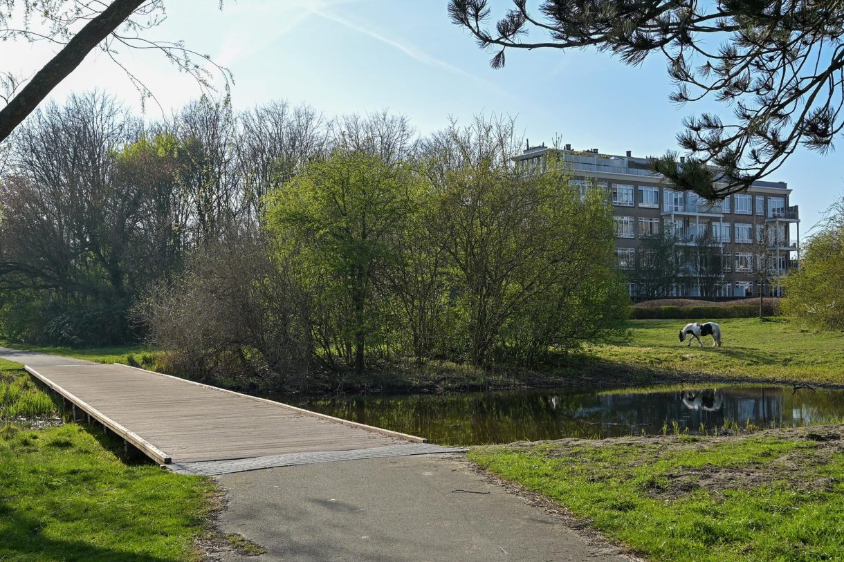 Te koop: Foto Appartement aan de Goudenregenstraat 311 in 's-Gravenhage
