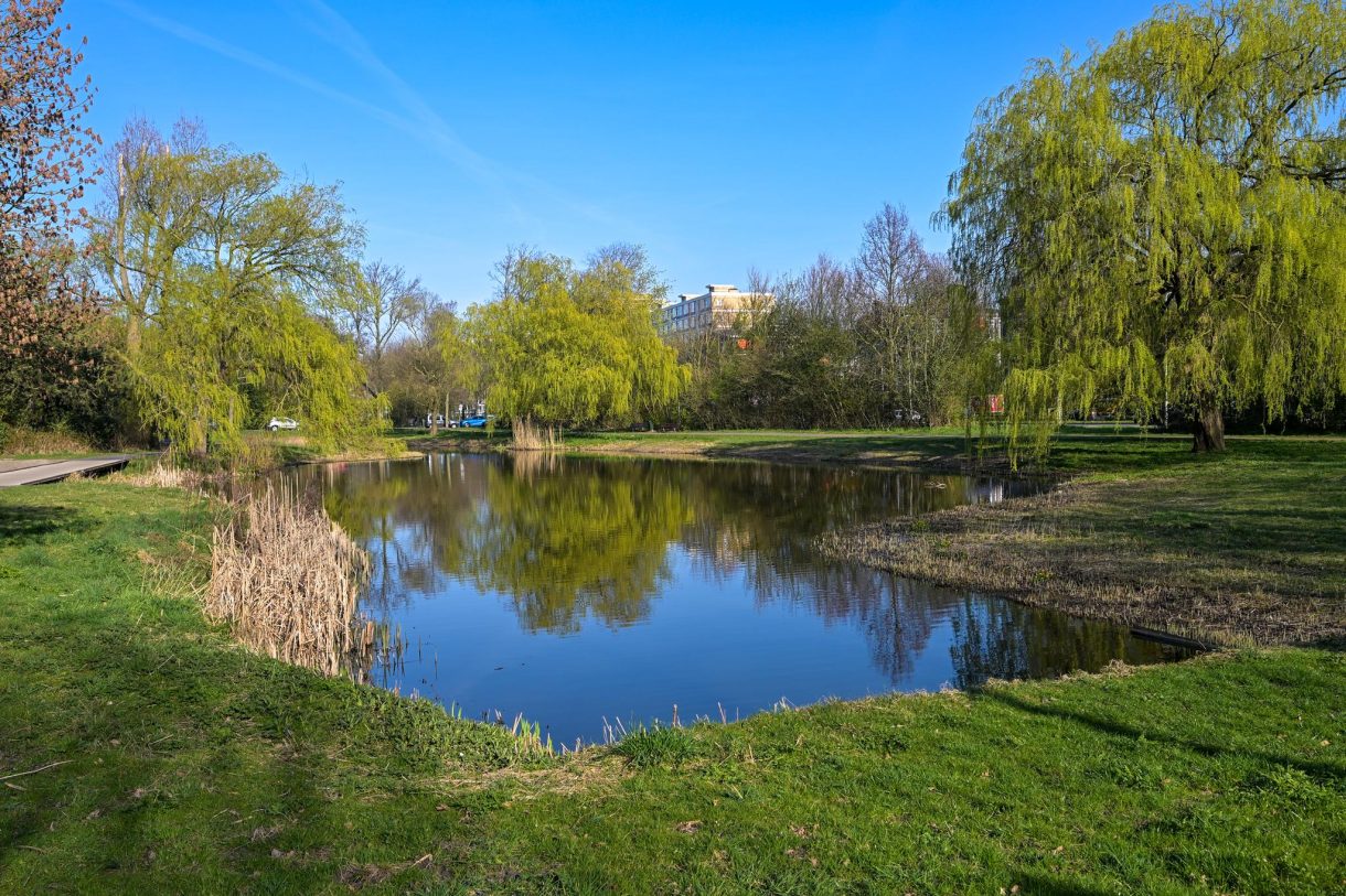 Te koop: Foto Appartement aan de Goudenregenstraat 311 in 's-Gravenhage