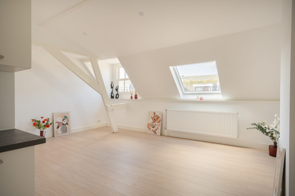 Te koop: Foto Appartement aan de Van de Spiegelstraat 5F in 's-Gravenhage
