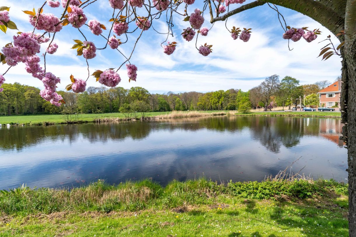 Te koop: Foto Woonhuis aan de Hofzichtlaan 14 in 's-Gravenhage