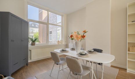 Te koop: Foto Appartement aan de Theresiastraat 234 in 's-Gravenhage