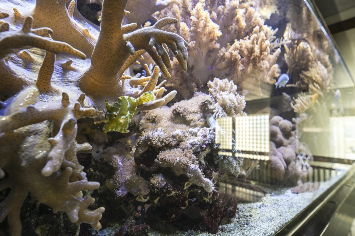 Te koop: Foto Appartement aan de Seinpostduin 156 in 's-Gravenhage