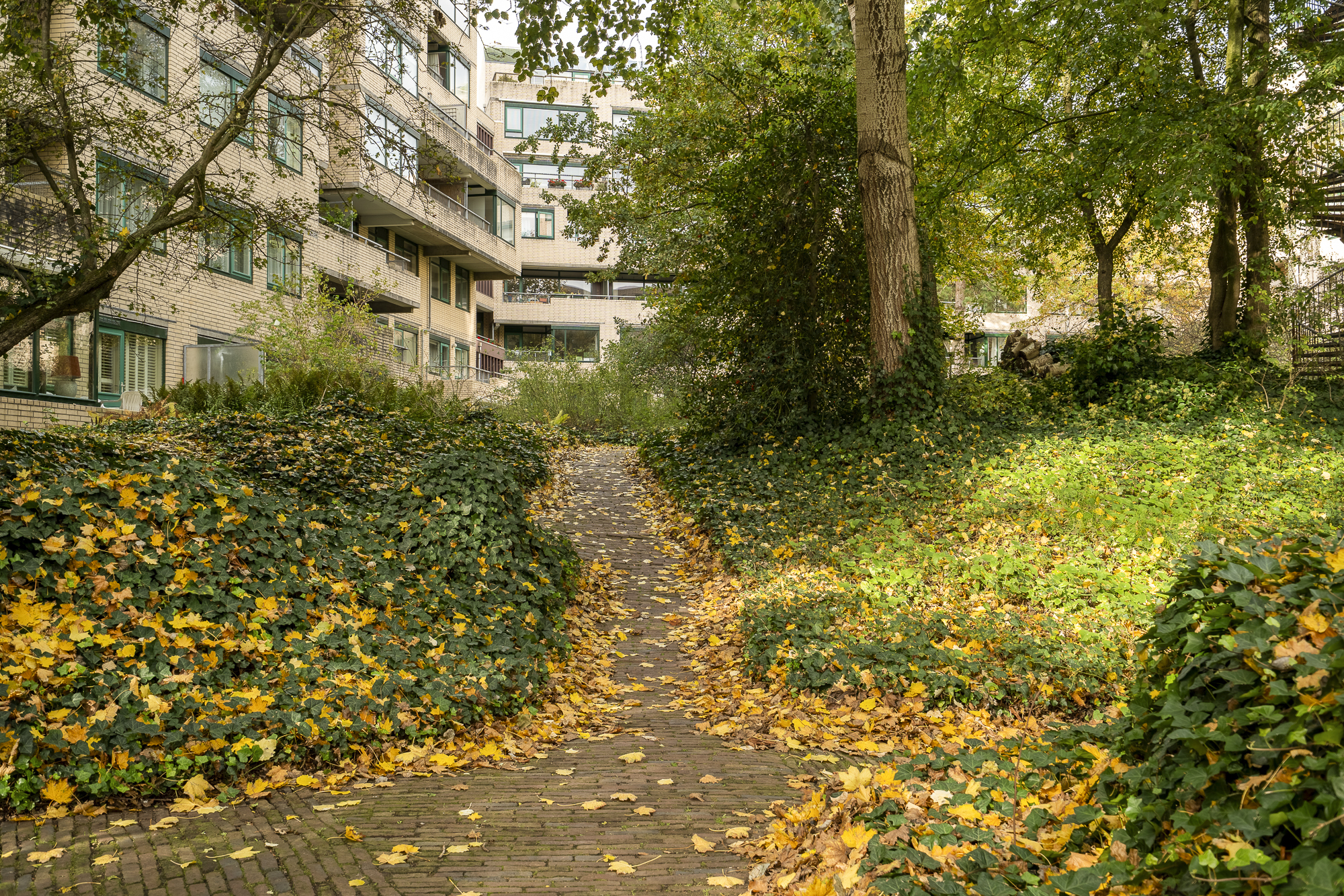 Te koop: Foto Appartement aan de Burgemeester Patijnlaan 346 in 's-Gravenhage