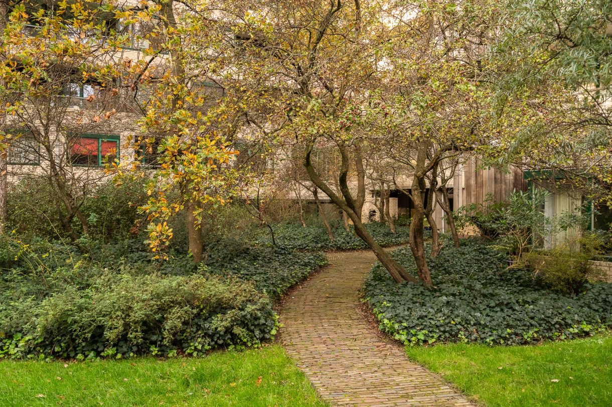 Te koop: Foto Appartement aan de Burgemeester Patijnlaan 346 in 's-Gravenhage