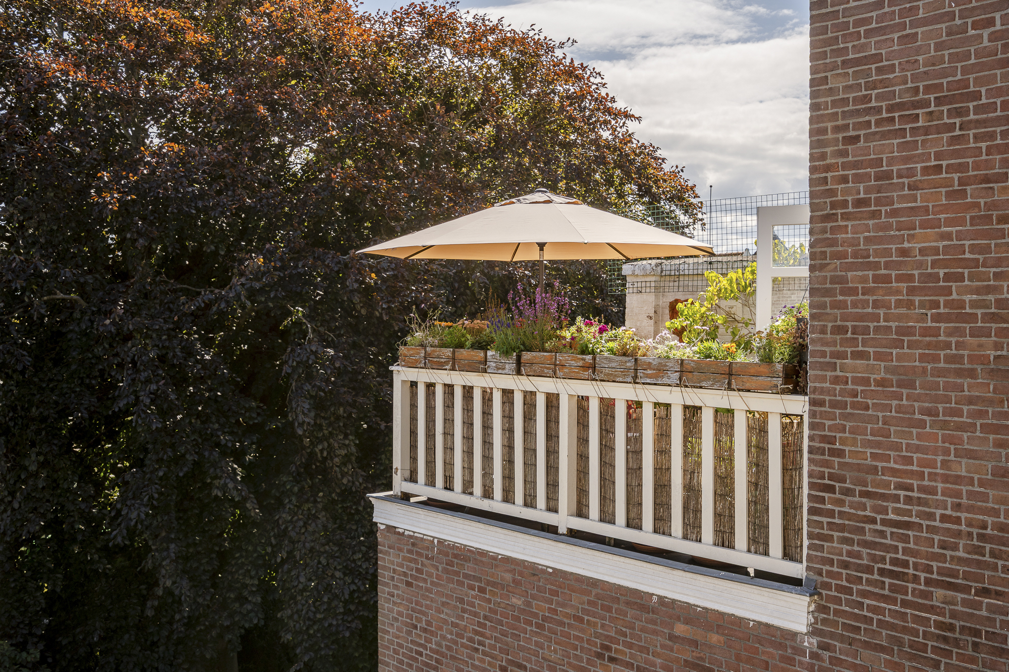 Te koop: Foto Appartement aan de Van Aerssenstraat 220 in 's-Gravenhage